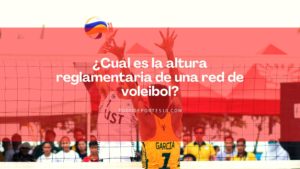 Lee más sobre el artículo ¿Cuál es la altura reglamentaria de una red de voleibol?