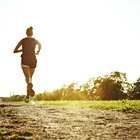 Lee más sobre el artículo ¿Cómo entrenar para un maratón sin excederse?