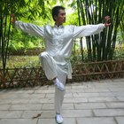 Lee más sobre el artículo Técnicas de Kung Fu de la Grulla